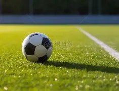 沪上业余足,球狂欢落幕,劢斯克罗特,芒果体育平台,芒果体育官方网站,芒果体育登录入口,芒果体育app下载