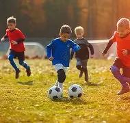 芒果体育,资讯,芒果体育平台,芒果体育平台,芒果体育官方网站,芒果体育登录入口,芒果体育app下载