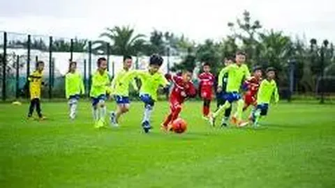 芒果体育 资讯 115656 6xy