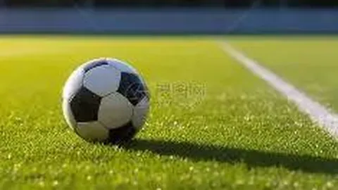 芒果体育 资讯 120901 628